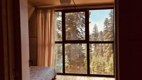 Three-Bedroom Chalet