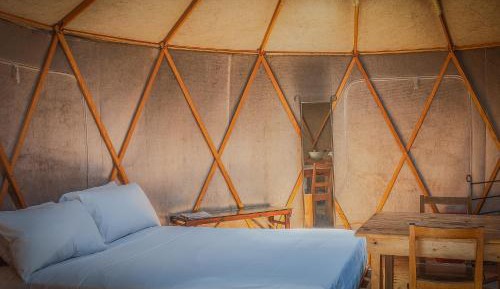 Yurta Yurt