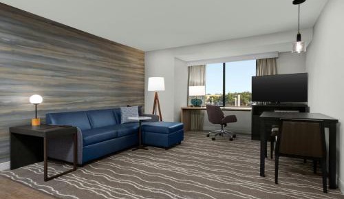 One-Bedroom King Suite with Sofa Bed and City View