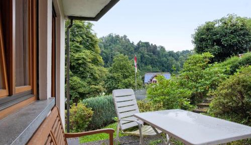 Superior One-Bedroom Apartment with Balcony