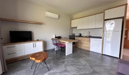 Apartment with View and Balcony