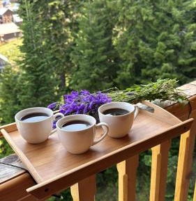 Double Room with Balcony (2 Adults + 1 Child)