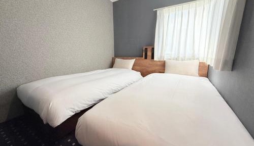 Deluxe Twin Room - Non-Smoking