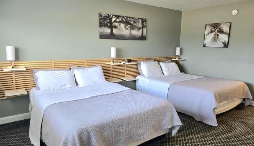 Room with Two Queen Beds