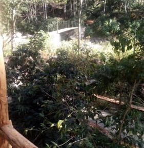 Family Room with Private Bathroom