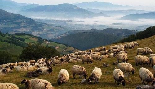 Studio Apartment with Balcony nr 1