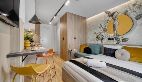 Studio Apartment with King Bed