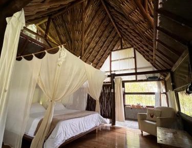 Junior Suite with Terrace