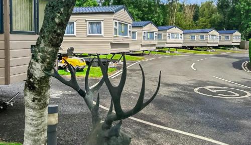 Mobile Home
