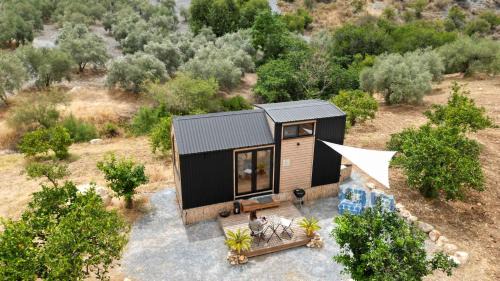 Mobile Home