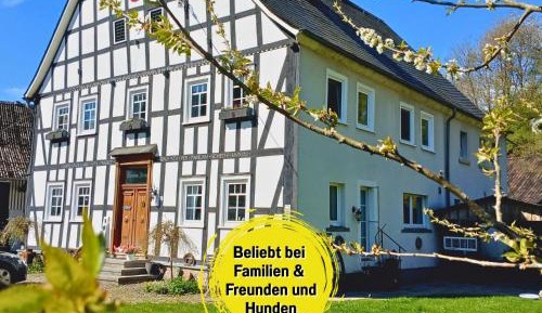 Three-Bedroom Apartment - High Floor