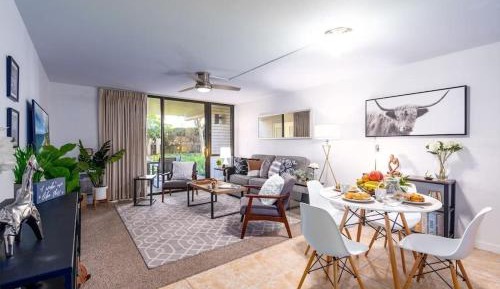 One-Bedroom Apartment