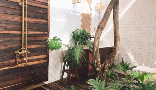 King Room with Garden View