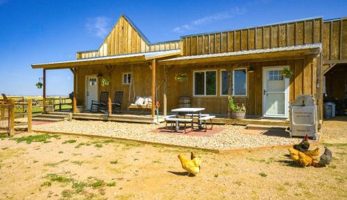 Holiday Home