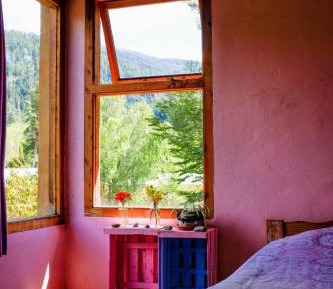 Single Bed in 4-Bed Dormitory Room