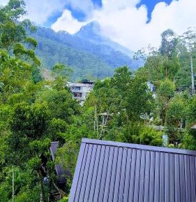 Double or Twin Room with Balcony