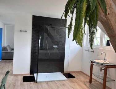 One-Bedroom Apartment with Sofa Bed