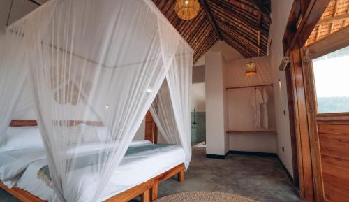 Large Double or Twin Room