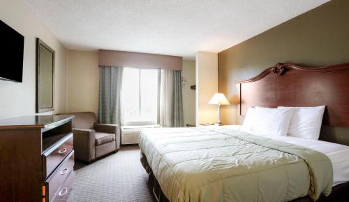 Suite - King Bed