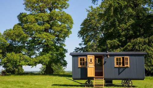 Studio with Garden View