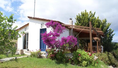 One-Bedroom Holiday Home