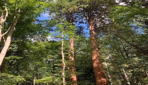 Two-Bedroom Holiday Home