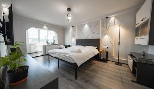 Four-Bedroom Deluxe Apartment