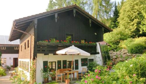 One-Bedroom Holiday Home