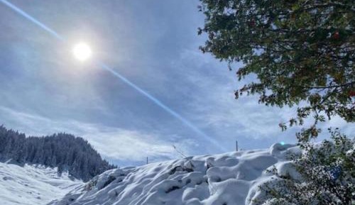 Seven-Bedroom Holiday Home