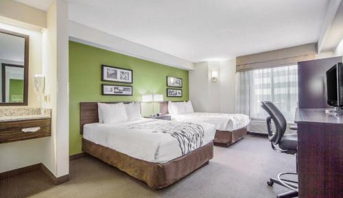 Double Room with Two Double Beds