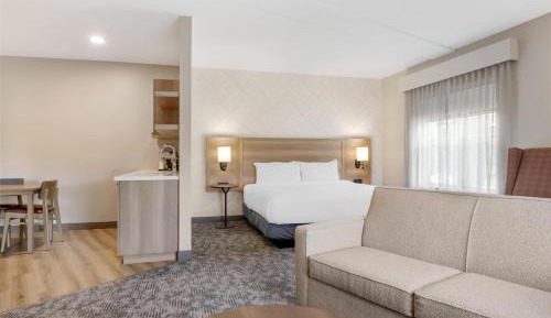 King Suite with Sofa Bed