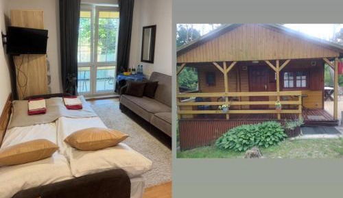 Family Room with Terrace