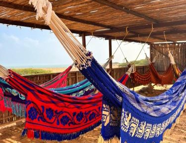 Bed in 8-Bed Mixed Dormitory Room