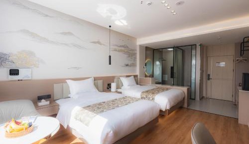 Superior Twin Room with City View