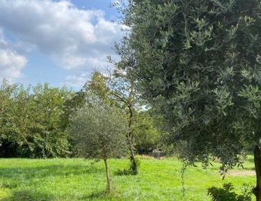 Double Room with Garden View