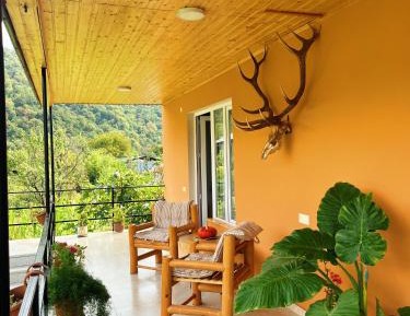 King Room with Mountain View