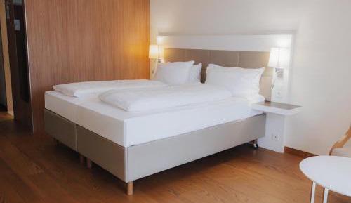 Superior Double Room with Balcony or Terrace