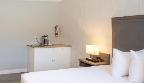 Room with 1 King Bed - Ocean View