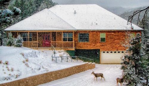 Holiday Home