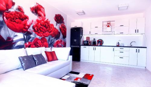 Penthouse Apartment