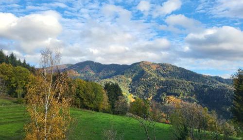 Superior Double or Twin Room with Mountain View