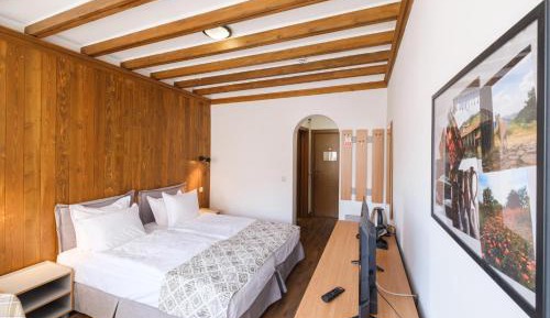 Double Room with Mountain View