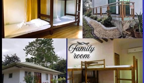 6-Bed Mixed Dormitory Room