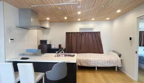 Deluxe One-Bedroom Apartment