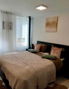 One-Bedroom Apartment with City View