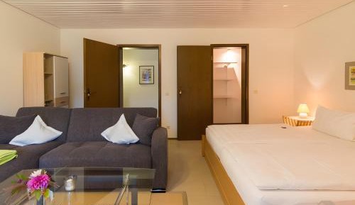 Superior One-Bedroom Apartment