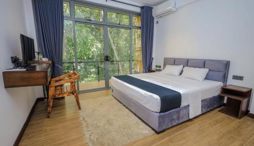 Room #1244120403