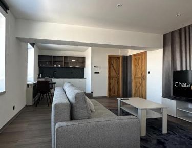 Apartment with Mountain View