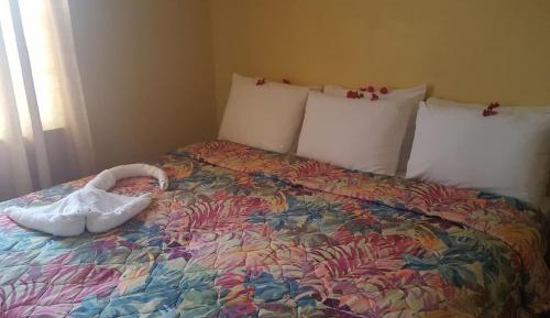 Room #138967106