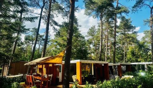 Mobile Home